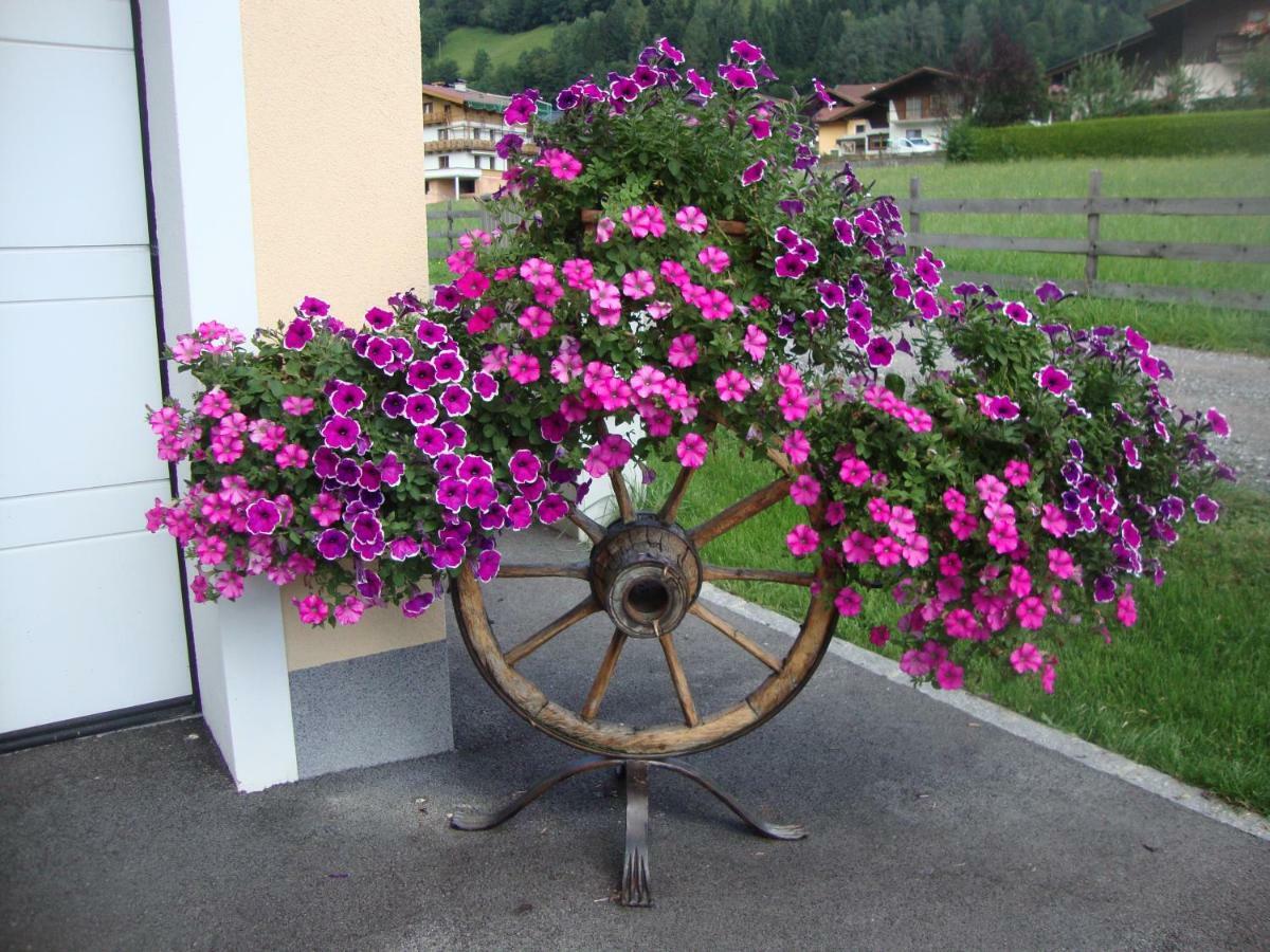 Haus Schnepfleitner Lägenhet Dorfgastein Exteriör bild